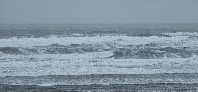 Carousel picture 4ft+